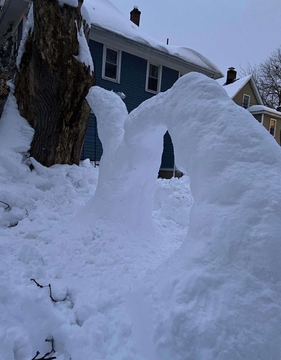 Snow Build